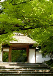 神社仏閣ギャラリー